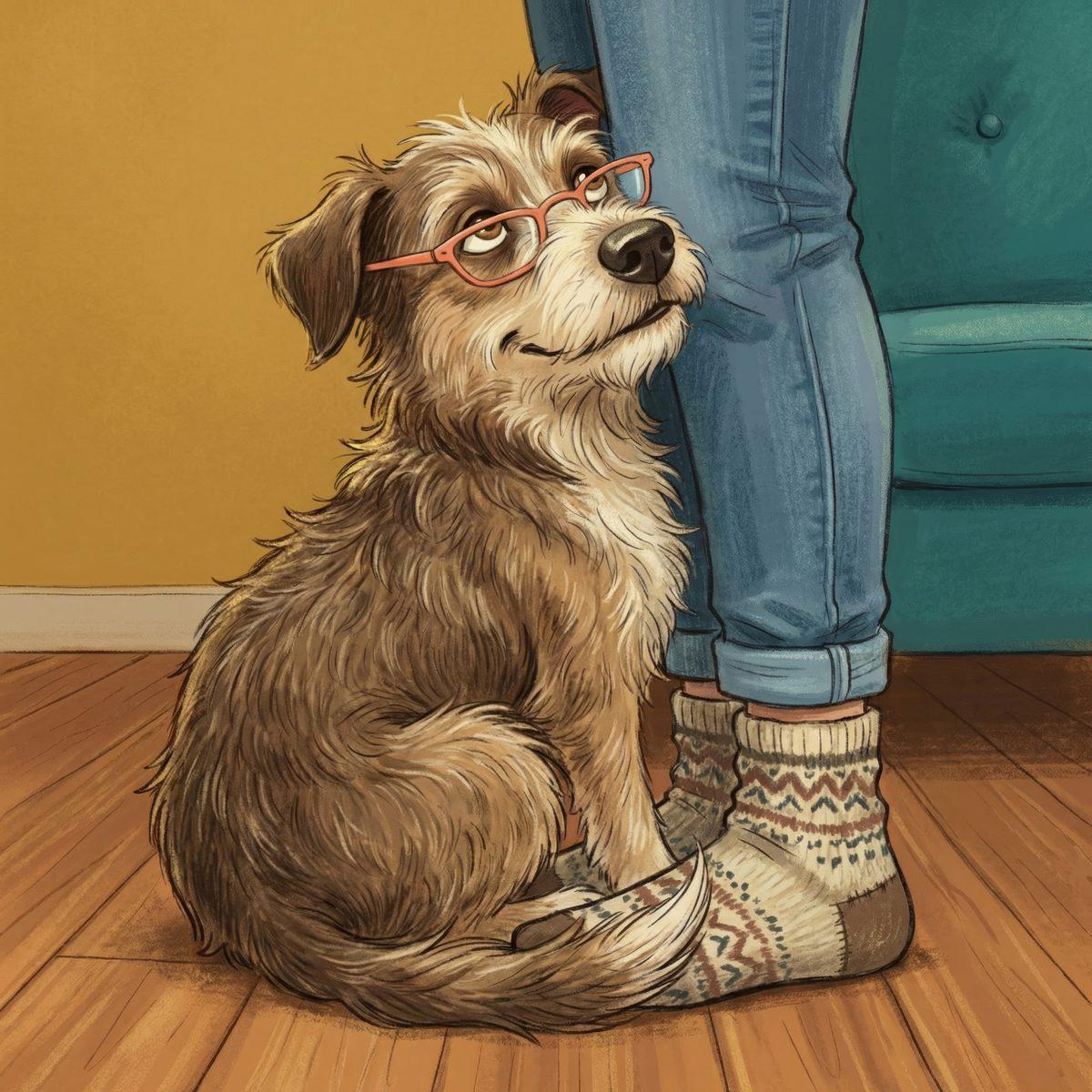 The Best Gifts for Dog Lovers Who Actually Read (2026)
